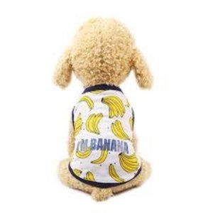 Small Dog Banana T-shirt Girl Boy Blue Yellow